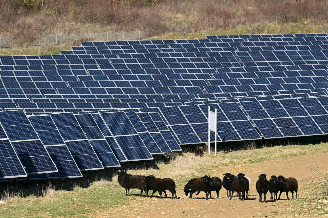 Regulatory and supply issues continue to affect the prices of polysilicon, the key raw material for manufacturing solar panels.