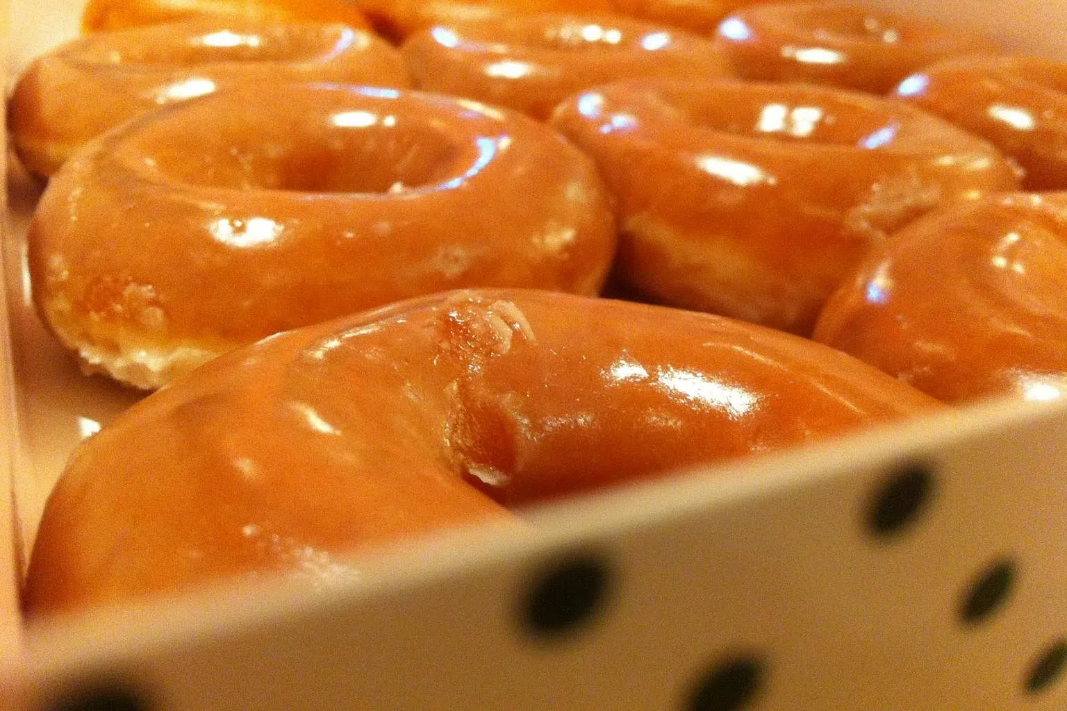 How processed foods make you fat