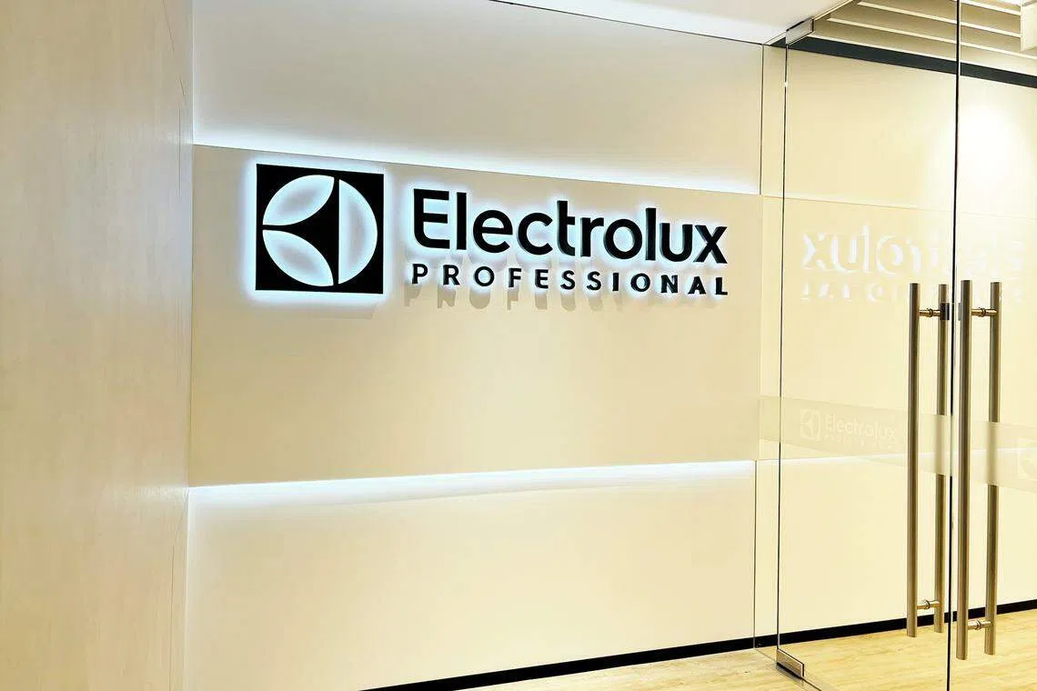 Closing of the deal is expected in the first quarter of 2024, Electrolux Professional says.