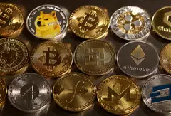 Smaller virtual currencies such as Ether, Avalanche and meme-crowd favourite Dogecoin have also been advancing.