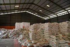 The tariff rate for rice will remain at 35 per cent, while import levies on corn will stay at 5 to 15 per cent and 15 to 25 per cent for pork products