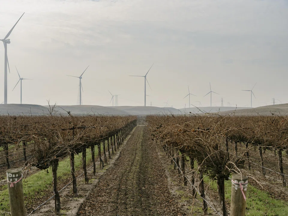 Research going back decades has forecast the toll that warming will take on GDP and extrapolated from that a calculation for how much a tonne of carbon emissions should be taxed.