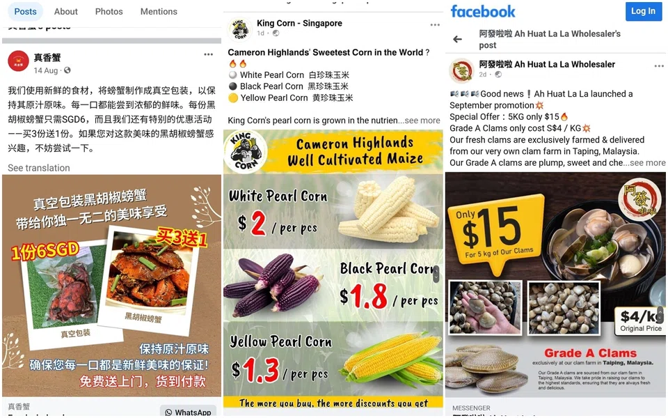 Screenshots of fraudulent ads posted on social media that were used to lure victims.