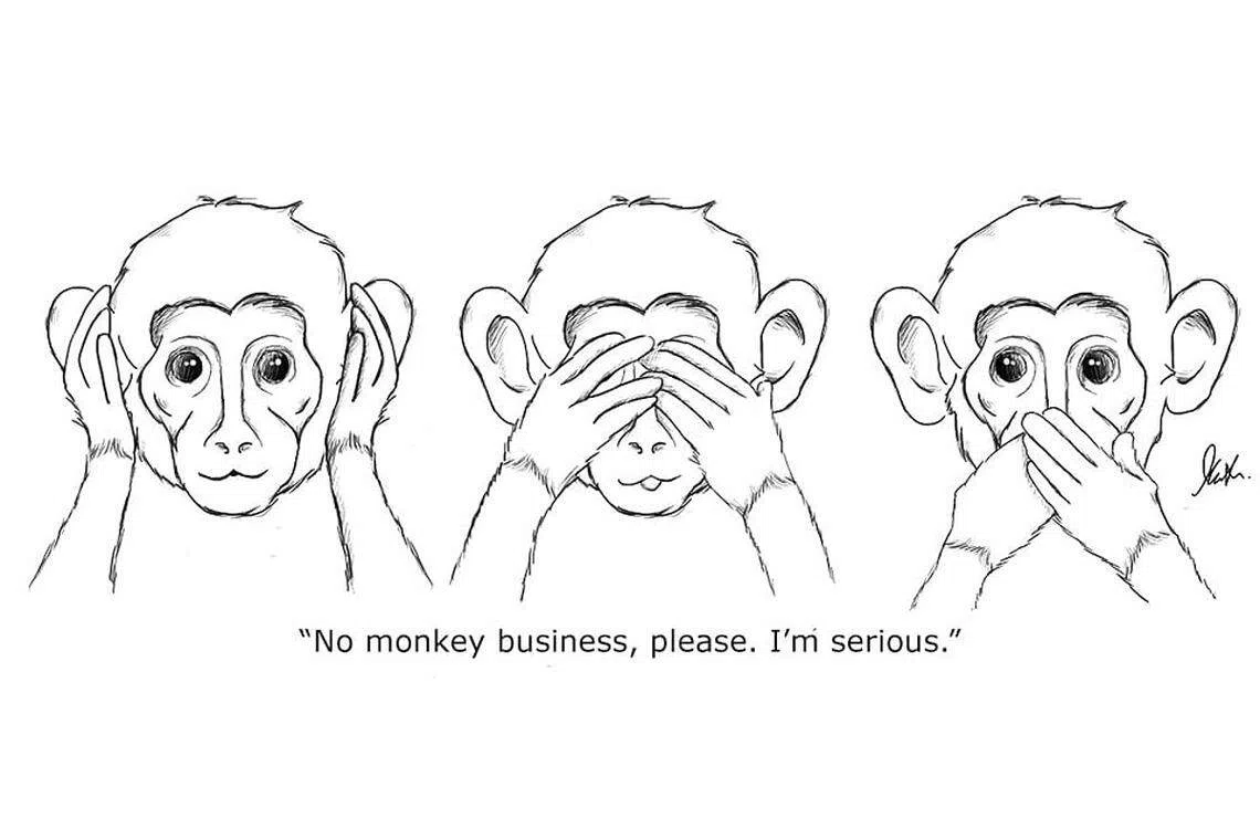 No monkey business, please