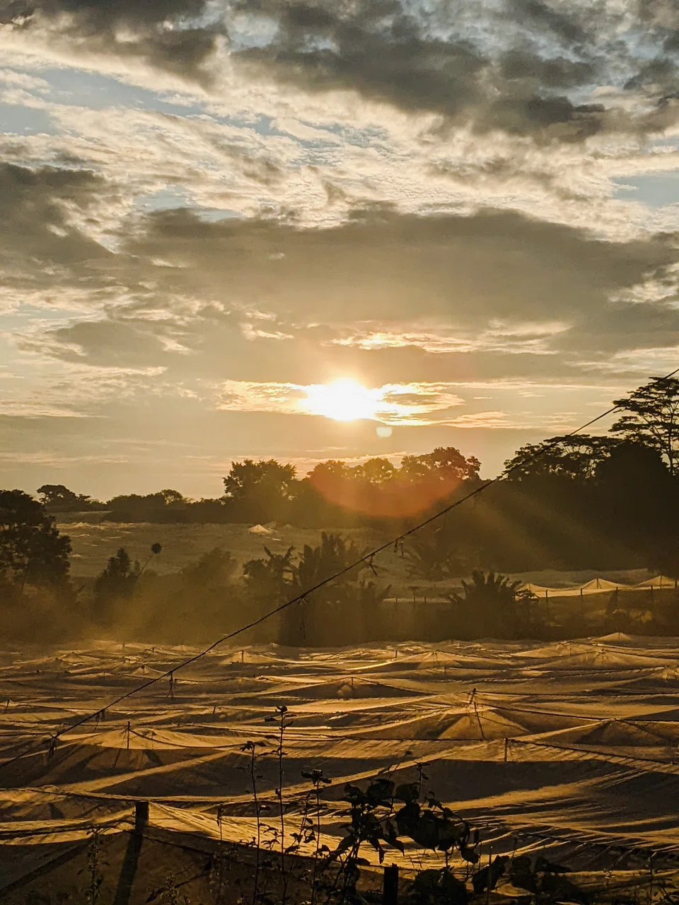 Sunrise above the farms along Sungei Tengah.