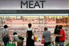 Lower-income households and vulnerable groups will feel the brunt of the drove to decarbonise every corner of the economy, the economists agree.