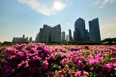 SMEs who do business with large corporates or public bodies are part of the extended supply chain and are expected to follow prescribed practices, including reducing emissions, says OCBC's Iris Ng.