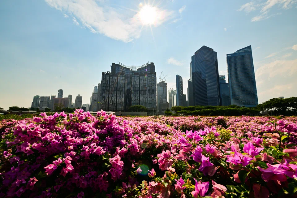 SMEs who do business with large corporates or public bodies are part of the extended supply chain and are expected to follow prescribed practices, including reducing emissions, says OCBC's Iris Ng.