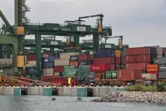 In 2023, total merchandise trade has fallen 11.7 per cent year on year, after expanding 17.7 per cent the year before, driven by declines in both oil and non-oil trade. 