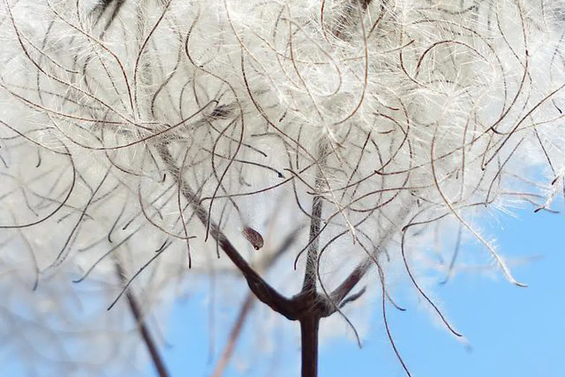 Woolliness is the enemy of accuracy as well as utility.