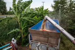 THAILAND -- a major exporter of sugar, chickens and rice -- looks set to benefit as many of its Asian neighbours limit shipments of agricultural commodities to shelter consumers from surging prices.