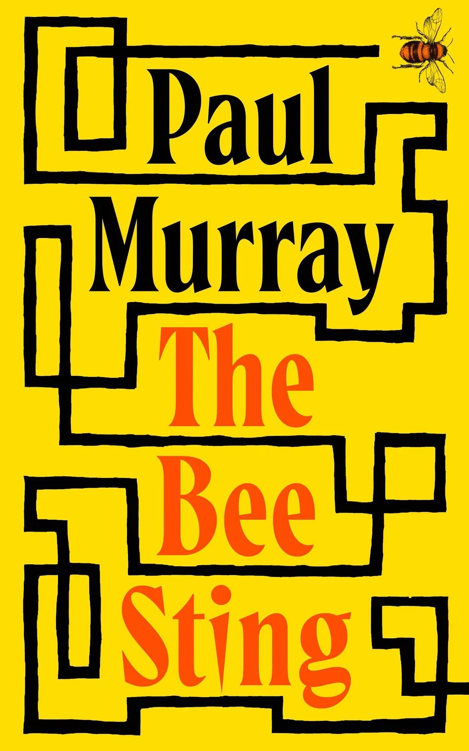 The Bee Sting by Paul Murray 


