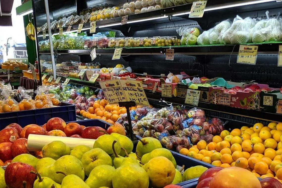 Shares of fruit distributor SunMoon slump amid parent's bankruptcy woes