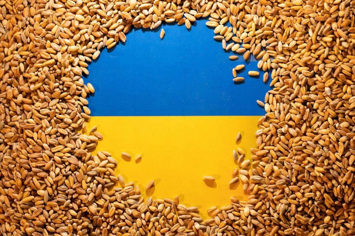 Ukraine’s larger farm sizes make the country’s grain exports cheaper, and that is pushing EU farmers out of their traditional export markets, say ministers from its neighouring countries.