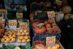 Japan’s consumer price index rose 4.3 per cent in January from a year earlier, the fastest gain in 41 years. 