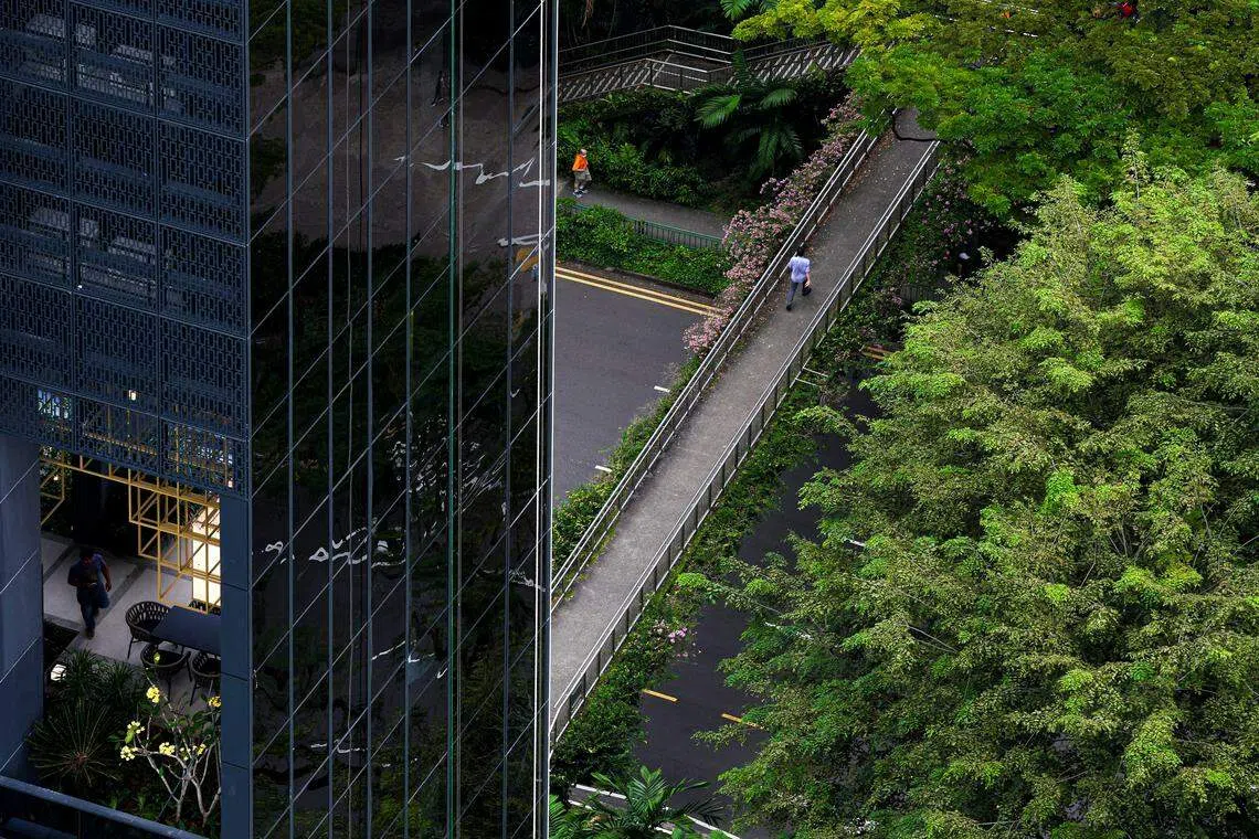 Generic photo of greenery in city state Singapore. For stories regarding ESG, sustainability, sustainability investing, and business environmental governance