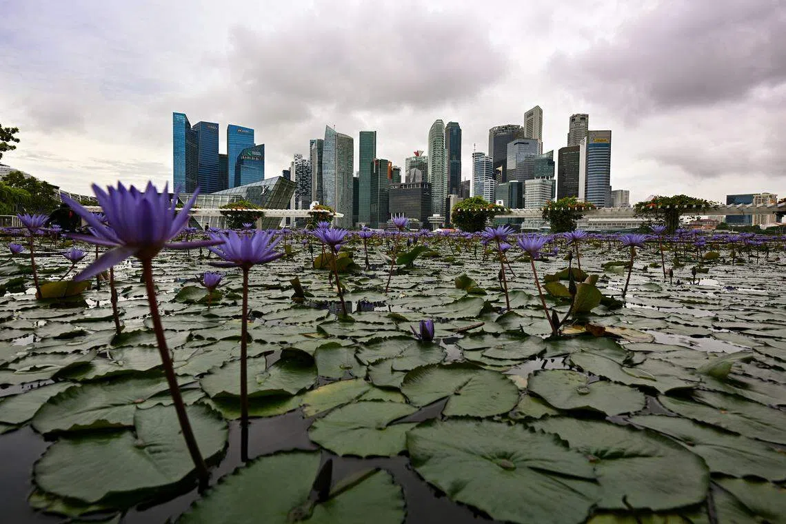 From 2025, listed companies in Singapore will have to report their carbon footprint, including emissions from parties along their supply chain.