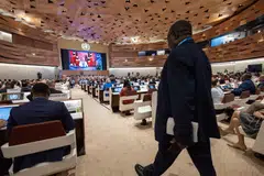 The annual assembly in Geneva decided not to extend Taiwan an invitation to the event, which runs from May 21-30. 