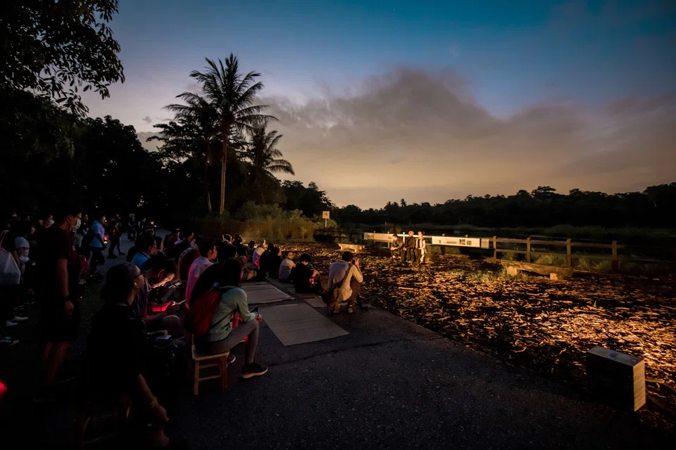 Ubin by Drama Box takes the audience to Pulau Ubin to uncover its past, present and future.