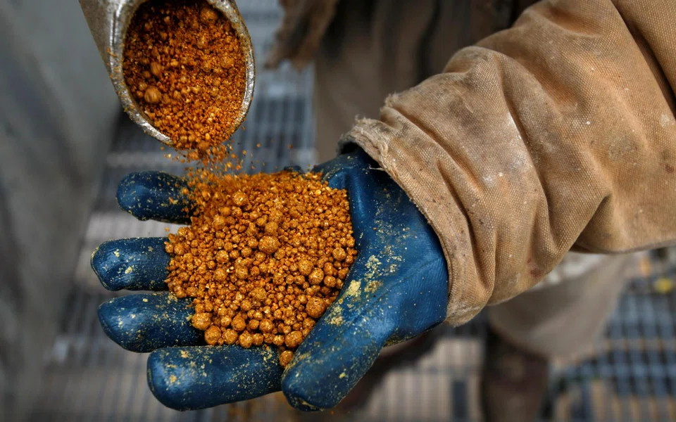 DDGS are a protein-rich byproduct of ethanol production that is fed to animals.