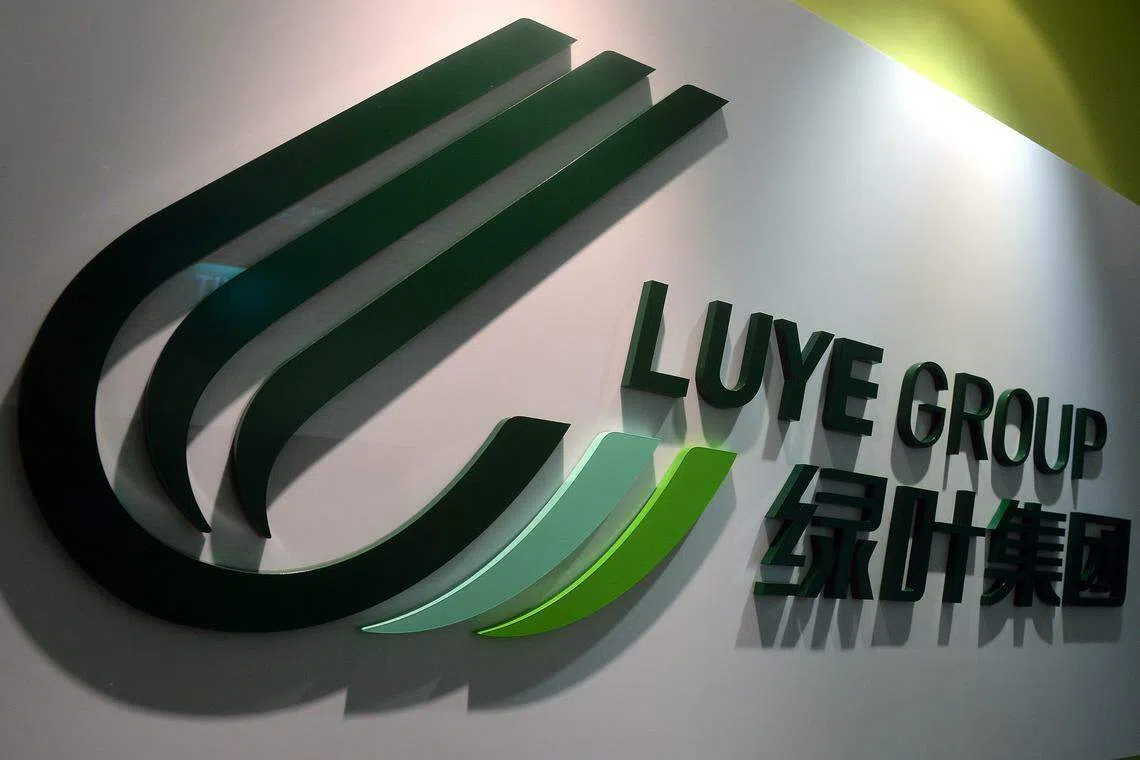 Templewater and Luye Medical were nearing a deal for a 51 per cent stake, valuing the businesses at about S$460 million including debt.