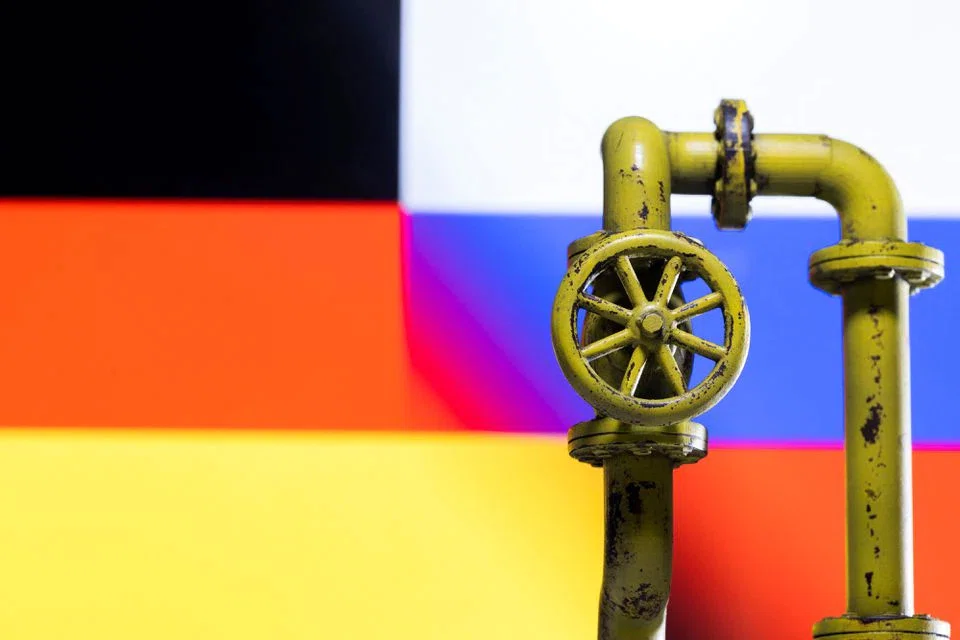 RECENT payments for Russian gas made in euros or US dollars have worked, German government sources said on Wednesday (May 25), adding that the payments were in line with European Union (EU) rules.