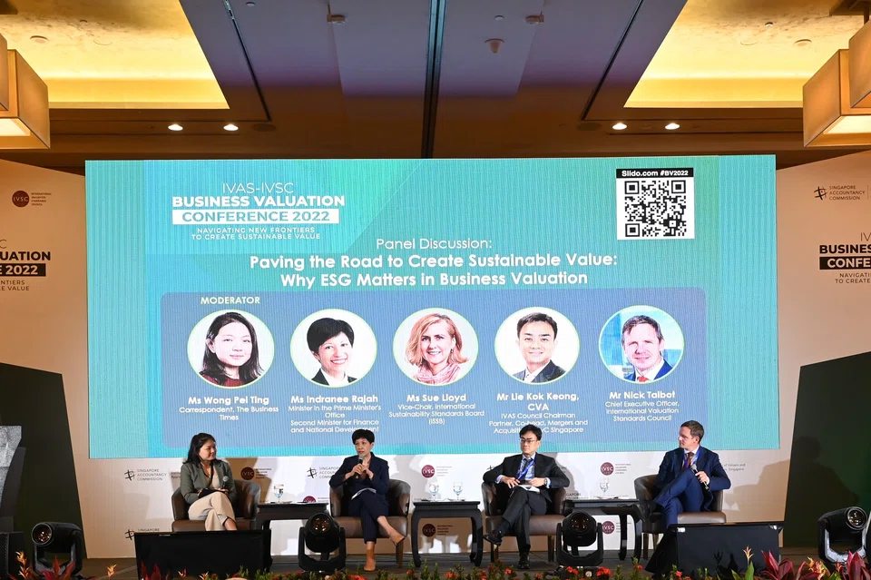 The panel on why ESG matters in business valuation, organised by the Institute of Valuers and Appraisers and International Valuation Standards Council, was moderated by BT correspondent Wong Pei Ting.