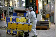 The survey showed the decline in new orders from home and abroad signals that the weakness in output is likely to persist for several more months.