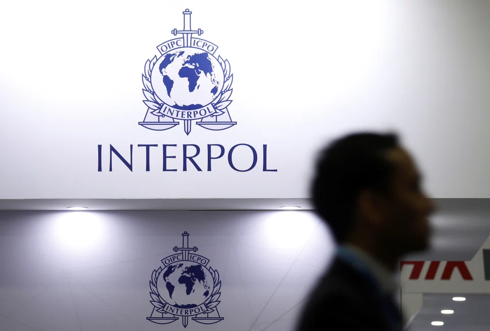 The law enforcement from more than 20 countries in October, which led to hundreds of arrests, demonstrated the “expanding geographical footprint” of the crime, the Interpol says.