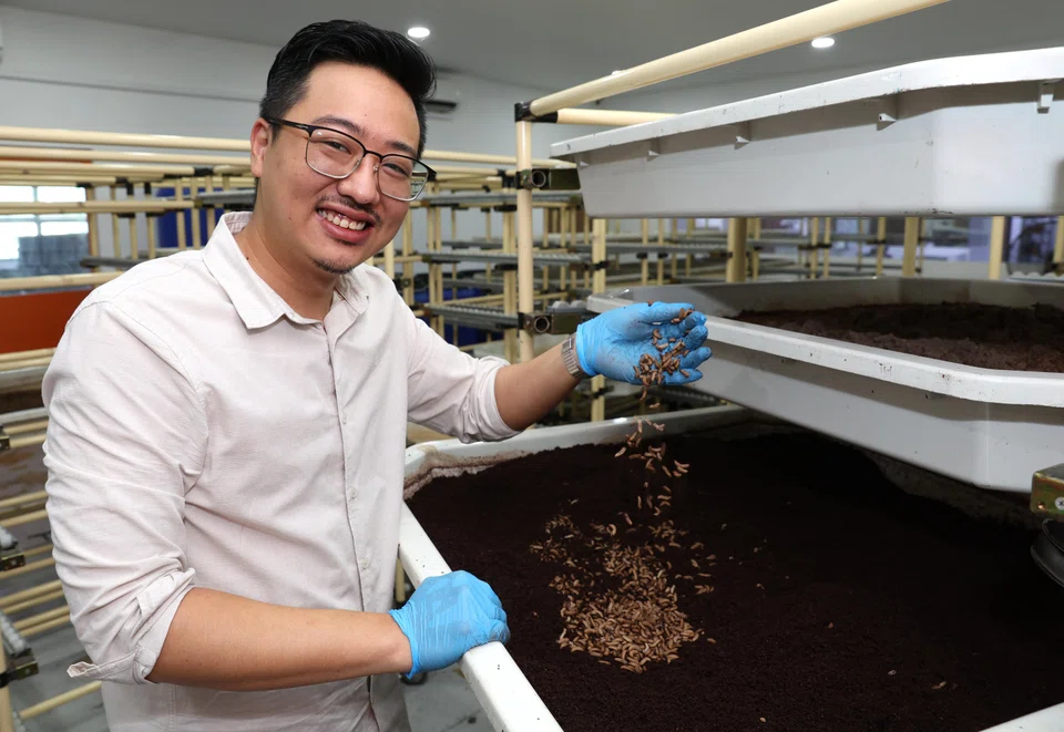 Ento Industries' founder and chief executive Nathaniel Phua wants the company to be one-stop solution for all kinds of food waste and to produce high-value products for the agriculture sector.