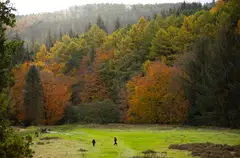 Sustainability-linked loans let borrowers and lenders say that a loan is tied to some environmental or social metric, but the documentation to back those claims generally is not available to the public, nor is the market regulated.