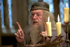 His best-known role was as Dumbledore in the Harry Potter franchise, but Gambon played down the praise for his performance and said he simply played himself “with a stuck-on beard and a long robe”.