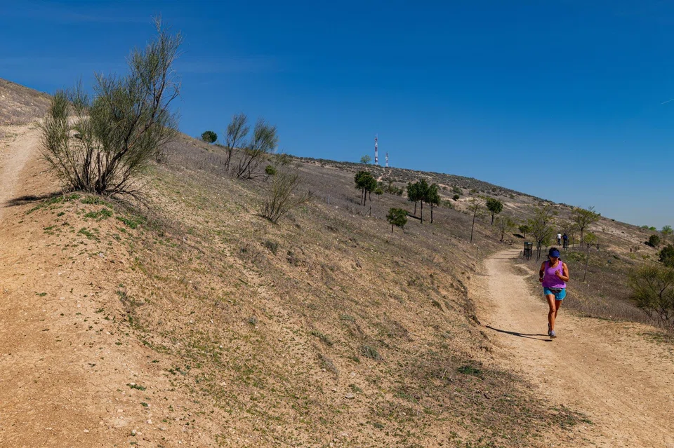 A jogger runs along a footpath surrounded by parched scrubland at Cerro Almodovar in the Vicalvaro district of Madrid, Spain, April 4, 2023. Extreme weather and tree die-offs have hampered the Spanish capital’s plan to establish a 75-kilometer woodland, turning a “tree cemetery” into a political flashpoint.
