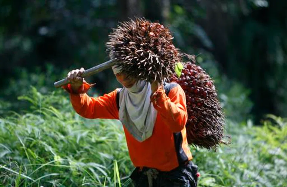 FGV's net profit during the January-March period rose to RM369.2 million (S$115.5 million), compared to a loss of RM35.4 million in the same quarter last year.