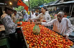 In recent months, prices of tomatoes – a staple for many Indian households – galloped 400 per cent since the start of the year as floods in some parts and deficient rains in others left crops damaged.