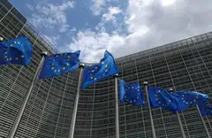 A committee at the European parliament tasked with preparing lawmakers’ position backs the proposals on Wednesday (Jan 24).