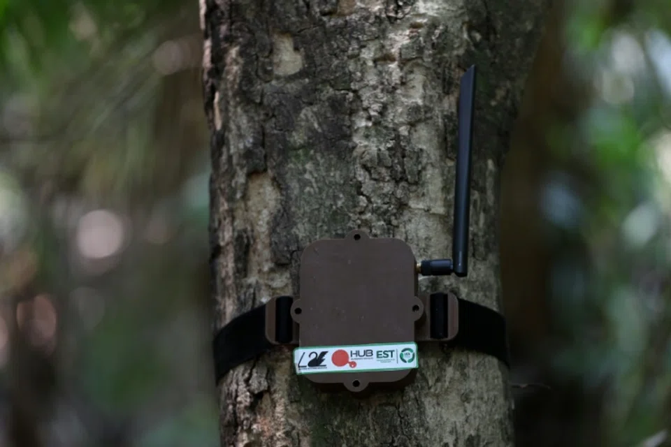 The sensors look like small Internet modems, but are in fact wireless and can relay data up to 1 km via satellite to others in a network.