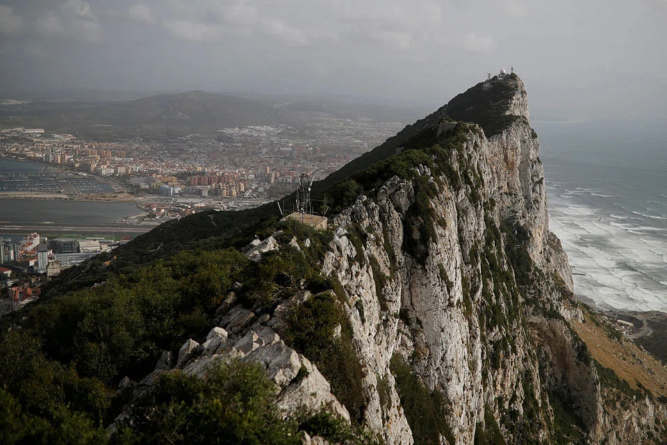 The aerospace segment expanded 24.2 per cent on the back of higher production of aircraft parts and more maintenance, repair and overhaul jobs from commercial airlines as a result of the lifting of border restrictions globally. 