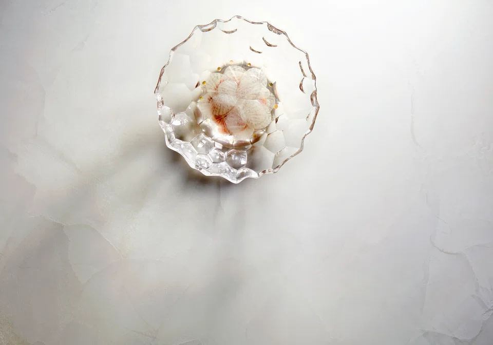 Yellowtail sashimi, daikon pickles and galangal snow.