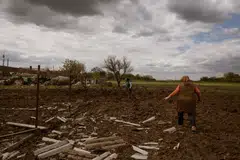 “The Ukraine economy is showing remarkable resilience and recent economic developments point to a gradual economic recovery in 2023, although the outlook remains highly uncertain as exceptionally high war-related uncertainty persists,” the IMF says.