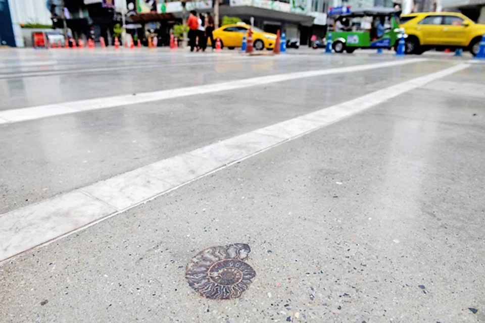 The fossil of an ammonite embedded in the new pavement of a shopping area in Bangkok. 