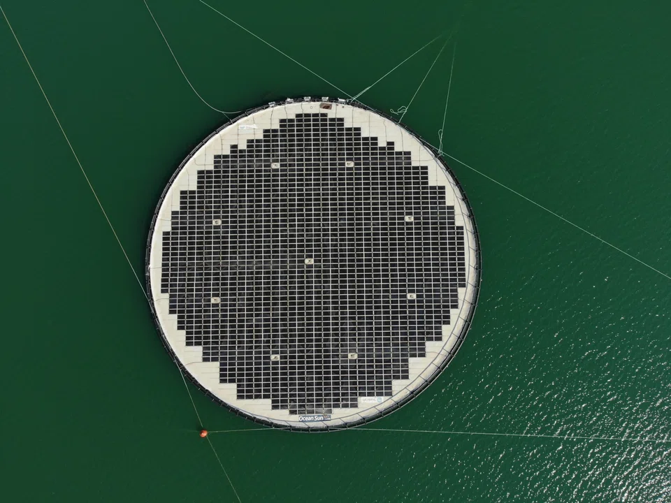 The membrane-based system is able to withstand stronger waves and rougher sea conditions than conventional floating PV systems – which are typically placed in calmer water bodies like reservoirs. 