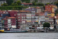 Homeowners and investors say that obliging people to rent out their houses goes against the constitutional right to private property. 