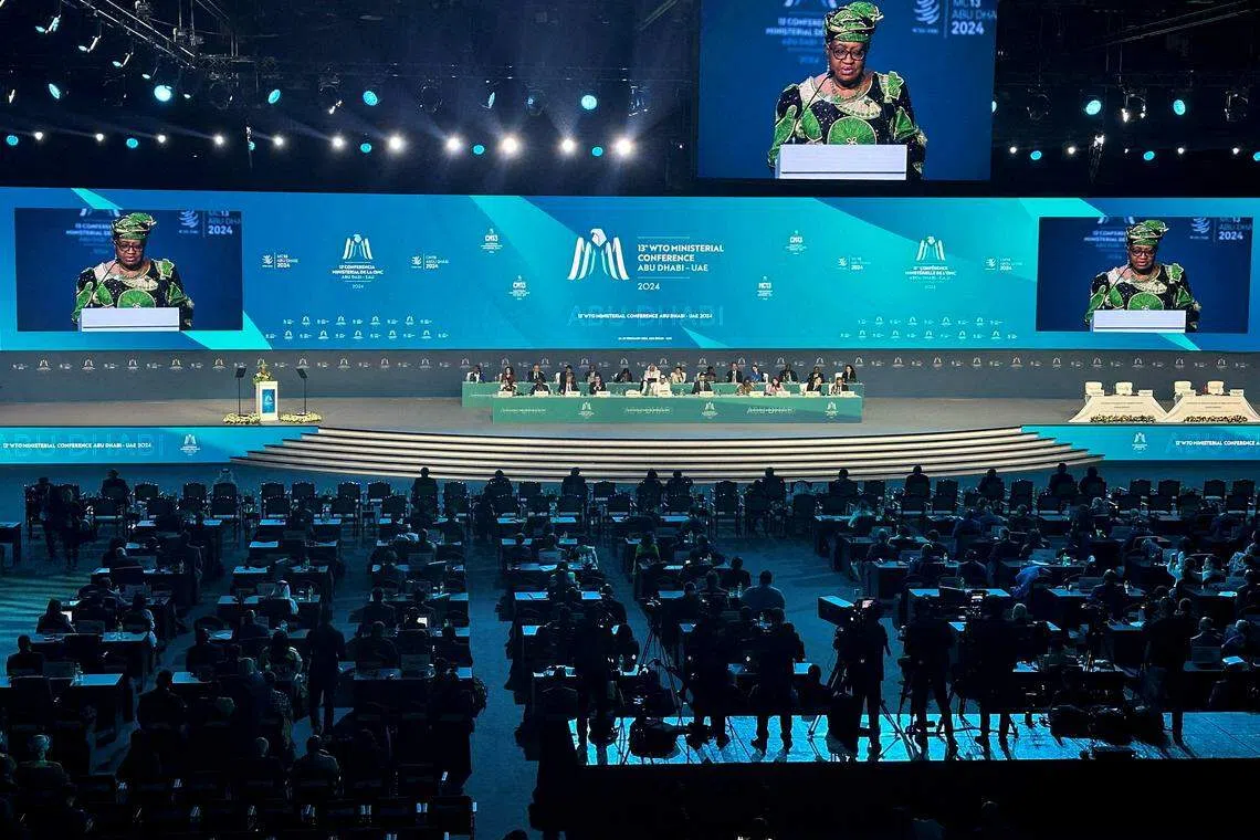 The recent 13th ministerial meeting of the World Trade Organization struggled mightily without doing anything of significance, despite going into overtime.