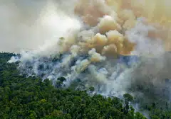 A fire rages in the Amazon rainforest, south of Novo Progresso in Para State, Brazil, Aug 16, 2020. Almost half of the companies most reliant on the commodities responsible for deforestation, and the financial firms that back them, have no policy to rein it in, a report on Wednesday said.