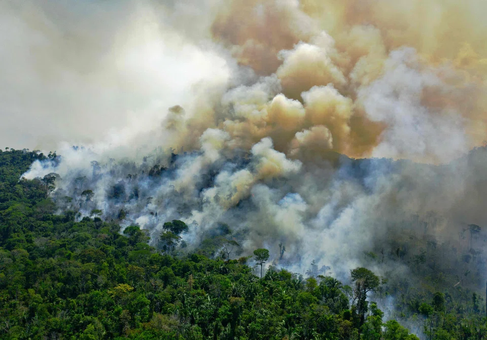 A fire rages in the Amazon rainforest, south of Novo Progresso in Para State, Brazil, Aug 16, 2020. Almost half of the companies most reliant on the commodities responsible for deforestation, and the financial firms that back them, have no policy to rein it in, a report on Wednesday said.