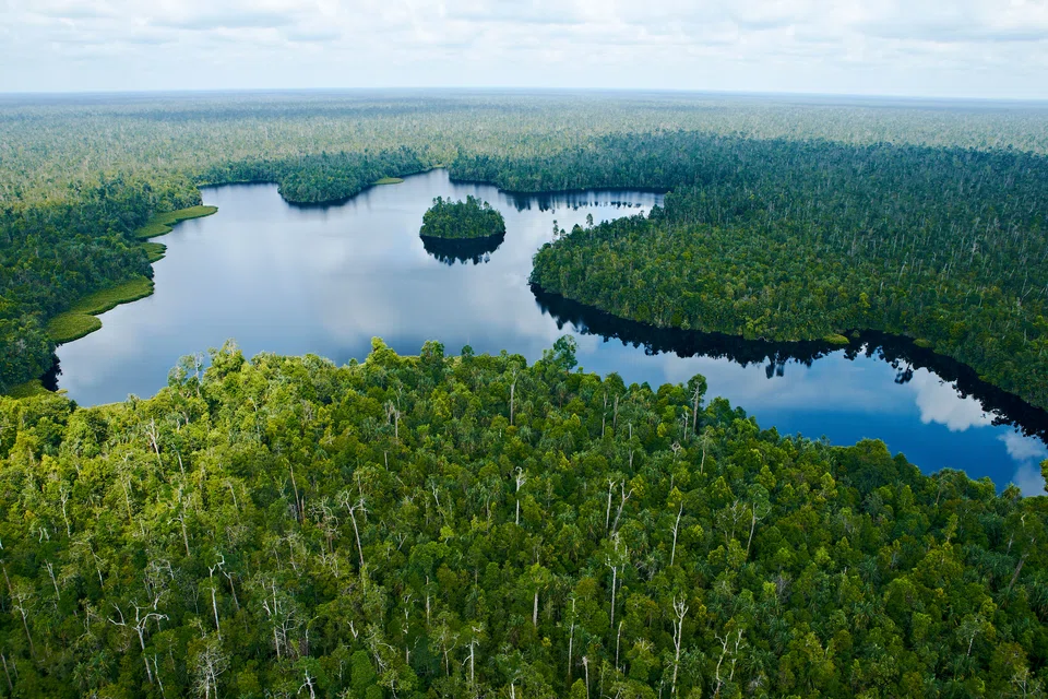 Highly cost-effective solutions - like protecting, restoring and sustainably managing old-growth forests, mangroves and peatlands, like the one in the Kampar Peninsula in Sumatra - don't receive as much funding as they need. 