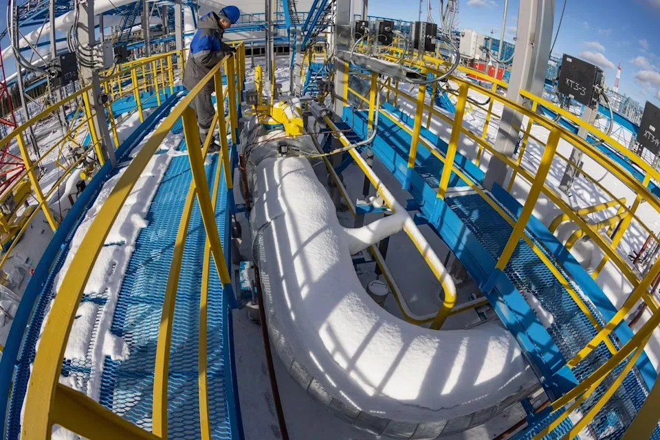 THE European Union's (EU) executive arm is set to bolster renewables and energy savings goals as part of a 195 billion-euro (US$205 billion) plan to end its dependency on Russian fossil fuels by 2027.