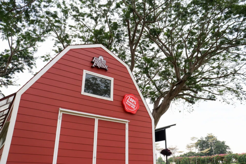 Hong Kong, Indonesia and the Philippines are on Farm Fresh’s radar as part of its regional expansion plan.