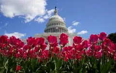 The 1,012-page bill provides US$886 billion in funding for the Defense Department, including a raise for US troops. Biden, a Democrat, has indicated he will sign it.